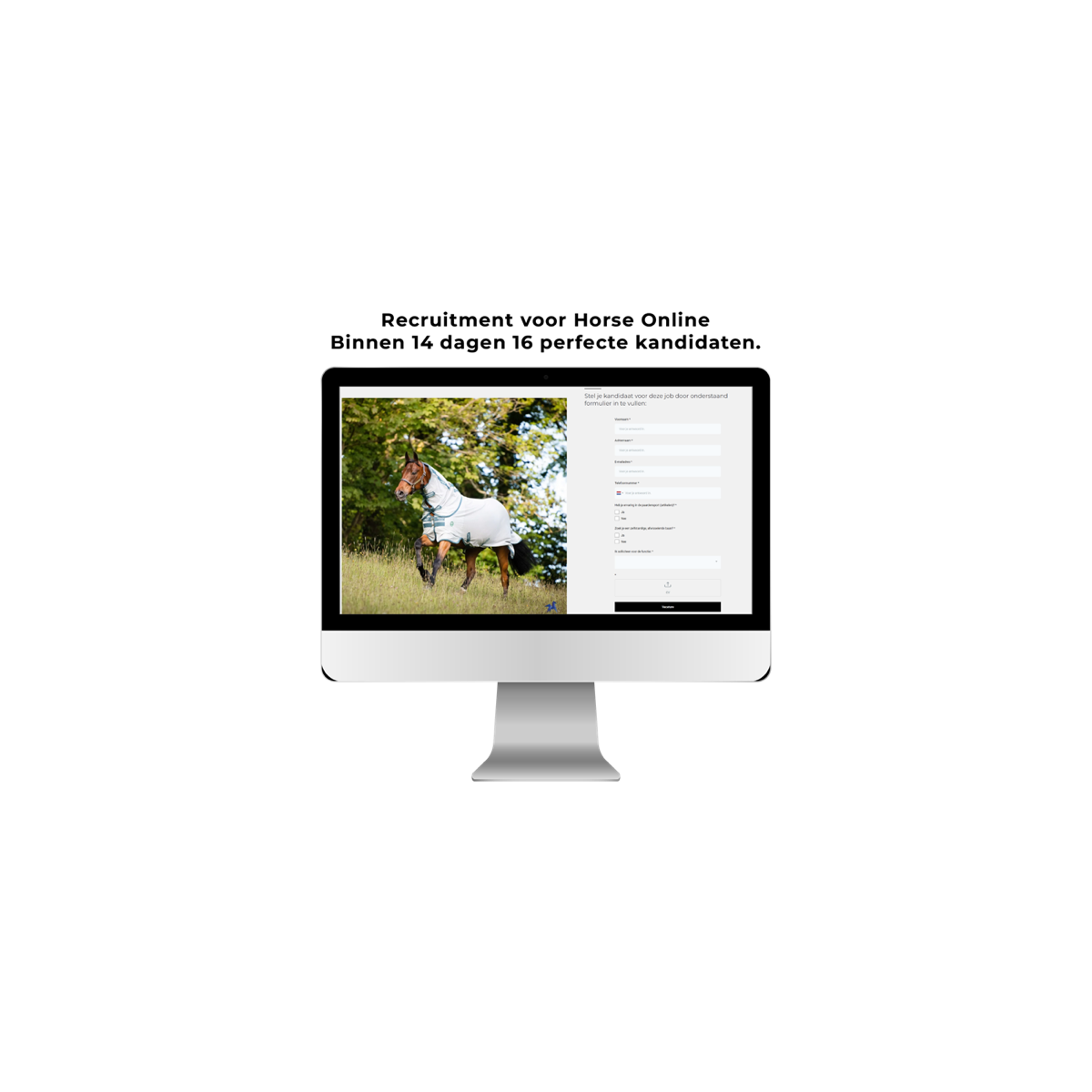 Horse Online — Een succesvolle samenwerking